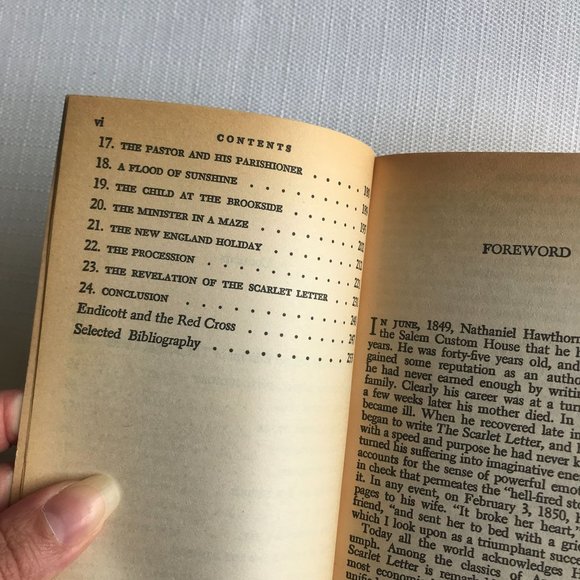 Vintage 1959 Scarlet Letter by Nathaniel Hawthorne Paper Back Book - Picture 8 of 9